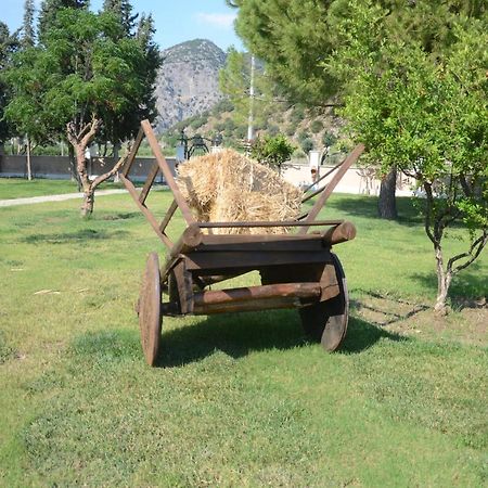 Oasis Apart Hotel Dalyan Dış mekan fotoğraf